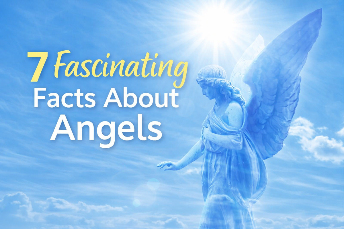 7 Fascinating Facts About Angels – Airstrike