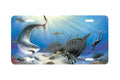 "Sunken Treasures II" - Decorative License Plate