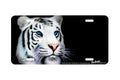 "Siberian White Tiger II" - Decorative License Plate