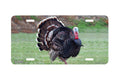 "Turkey" - Decorative License Plate