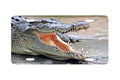 "Allligator" - Decorative License Plate
