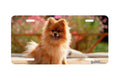 "Pomeranian II" - Decorative License Plate