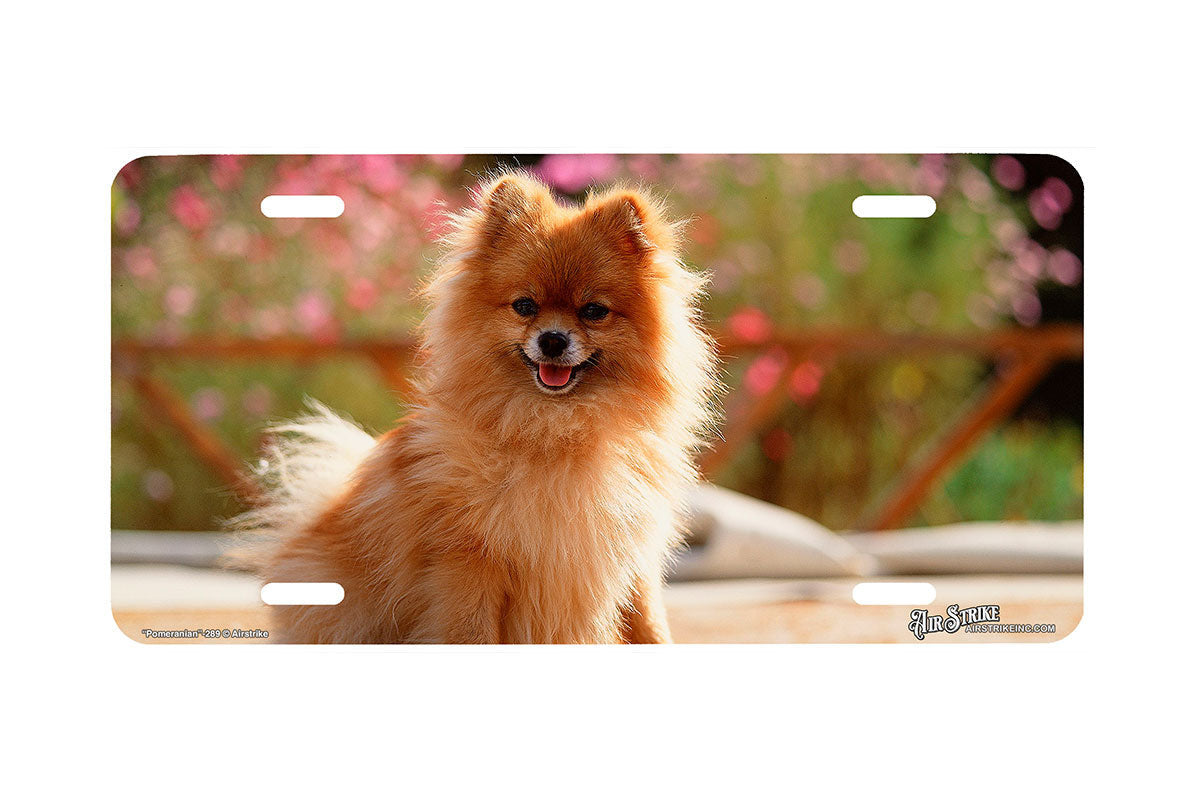 "Pomeranian II" - Decorative License Plate