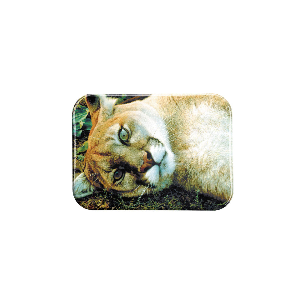"The Good Life" - 2.5" X 3.5" Rectangle Fridge Magnets