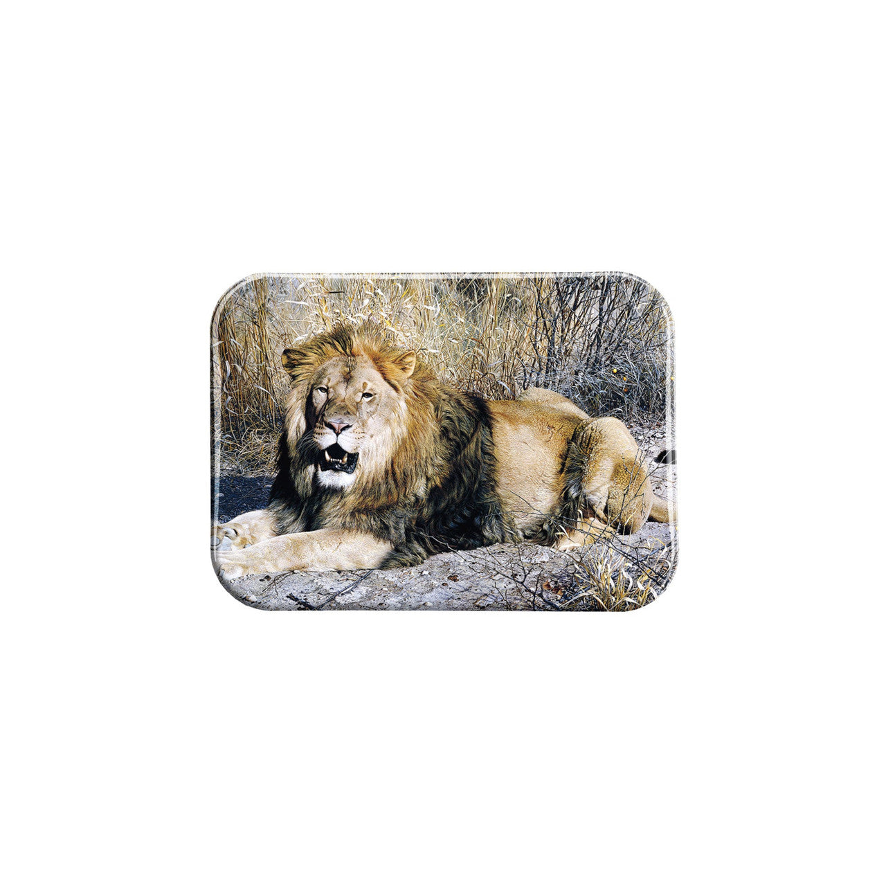 "Kalahari" - 2.5" X 3.5" Rectangle Fridge Magnets