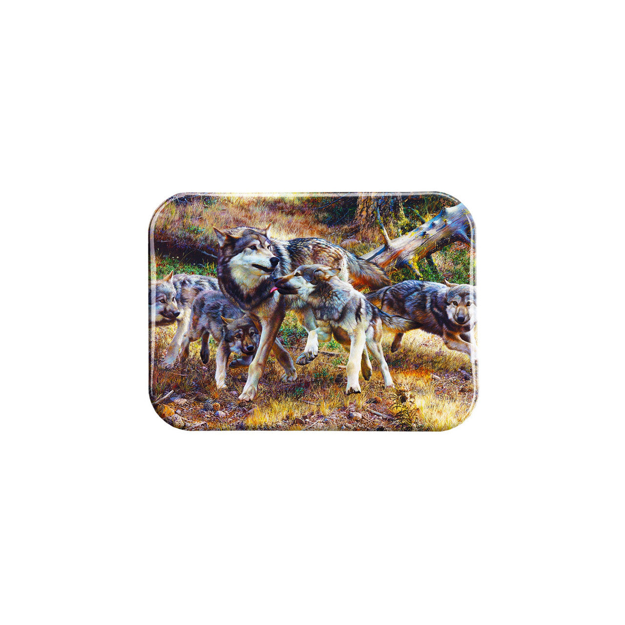 "Disorderly Conduct" - 2.5" X 3.5" Rectangle Fridge Magnets