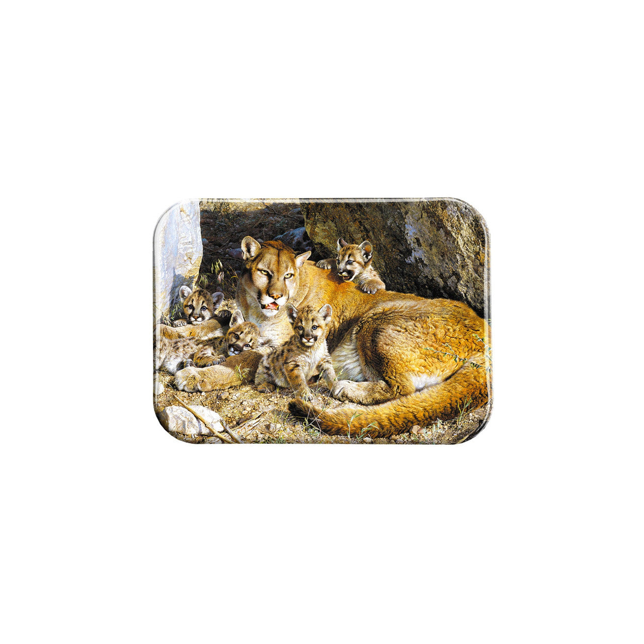 "Rocky Camp" - 2.5" X 3.5" Rectangle Fridge Magnets