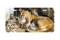 "Rocky Camp" - Decorative License Plate