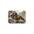 "Mandarin Drake" - 2.5" X 3.5" Rectangle Fridge Magnets