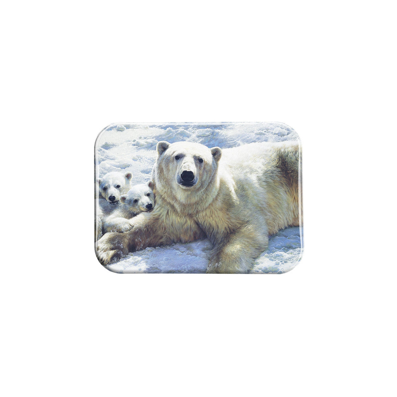 "Mother Of Pearls" - 2.5" X 3.5" Rectangle Fridge Magnets
