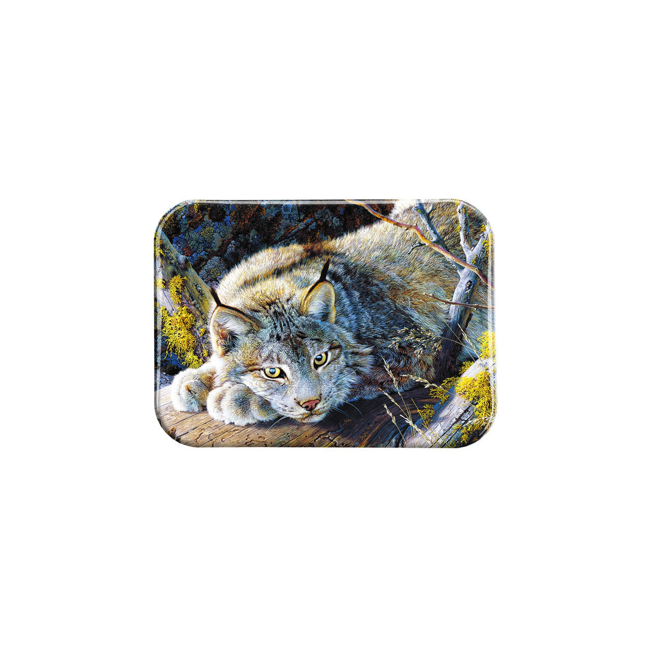 "Take Five" - 2.5" X 3.5" Rectangle Fridge Magnets