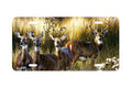 "Power And Grace" - Decorative License Plate