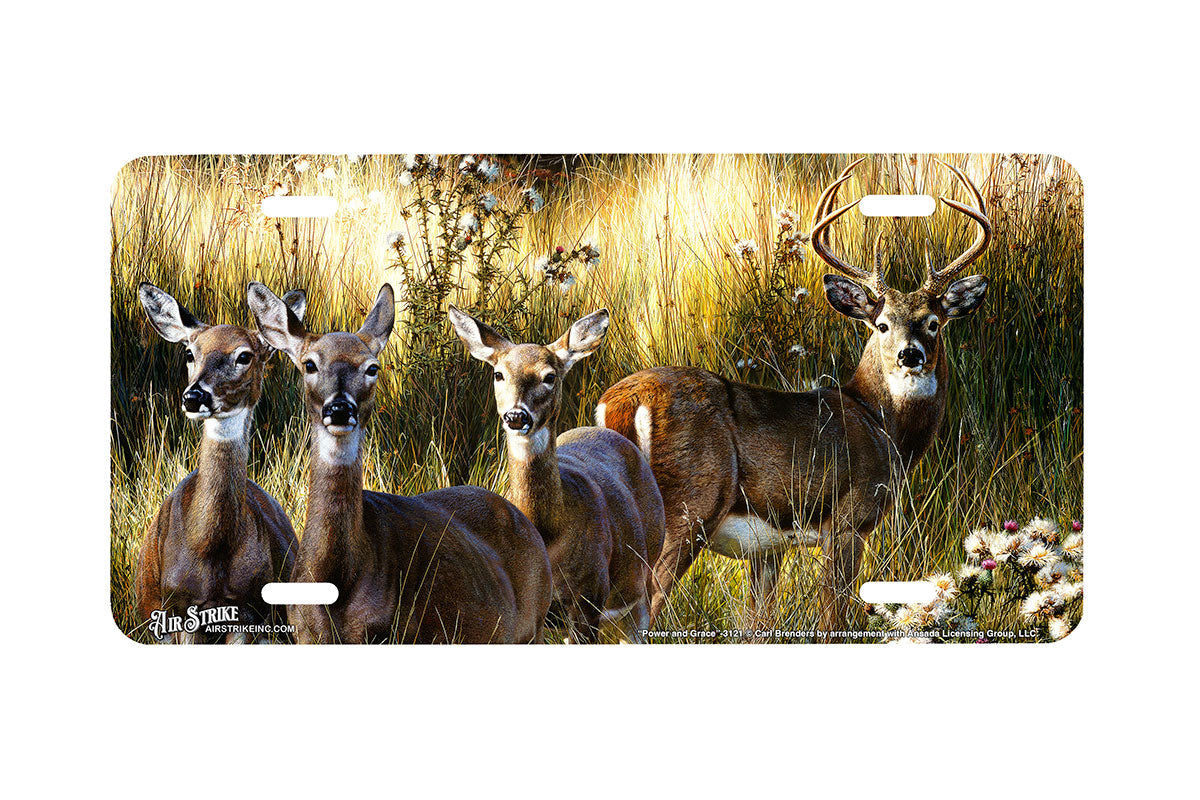 "Power And Grace" - Decorative License Plate