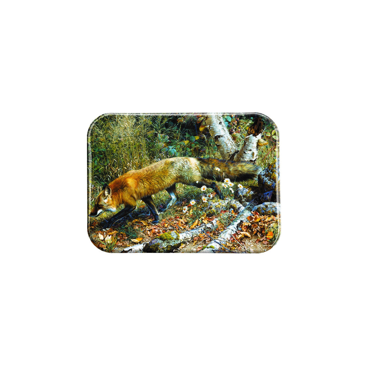 "Pathfinder" - 2.5" X 3.5" Rectangle Fridge Magnets