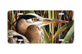 "Lord Of The Marshes" - Decorative License Plate