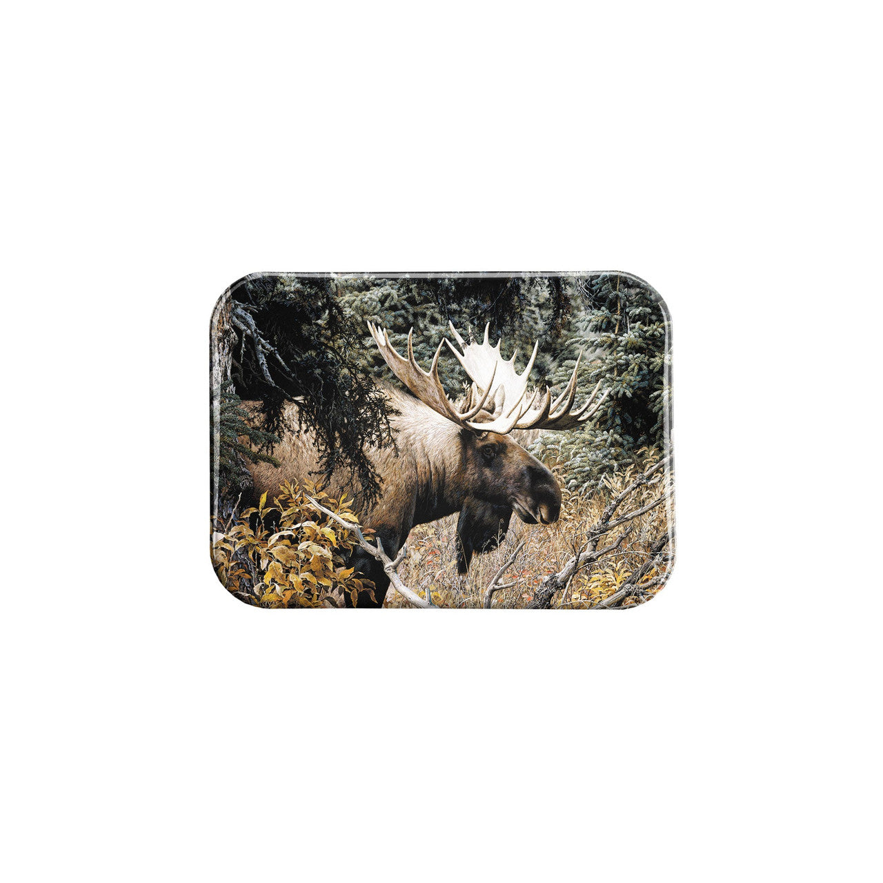 "Calm Before the Challenge" - 2.5" X 3.5" Rectangle Fridge Magnets