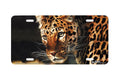 "East Of The Sun" - Decorative License Plate