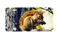 "Picnic Perch" - Decorative License Plate