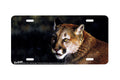 "Close Up Cougar" - Decorative License Plate