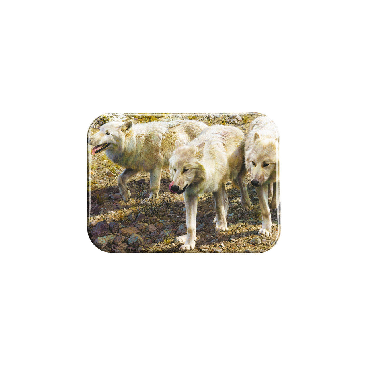 "Espirit De Corps" - 2.5" X 3.5" Rectangle Fridge Magnets