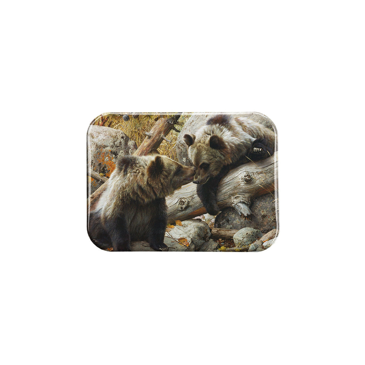 "Alaska Chat" - 2.5" X 3.5" Rectangle Fridge Magnets