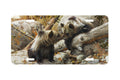 "Alaska Chat" - Decorative License Plate