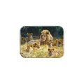 "The Babysitter" - 2.5" X 3.5" Rectangle Fridge Magnets