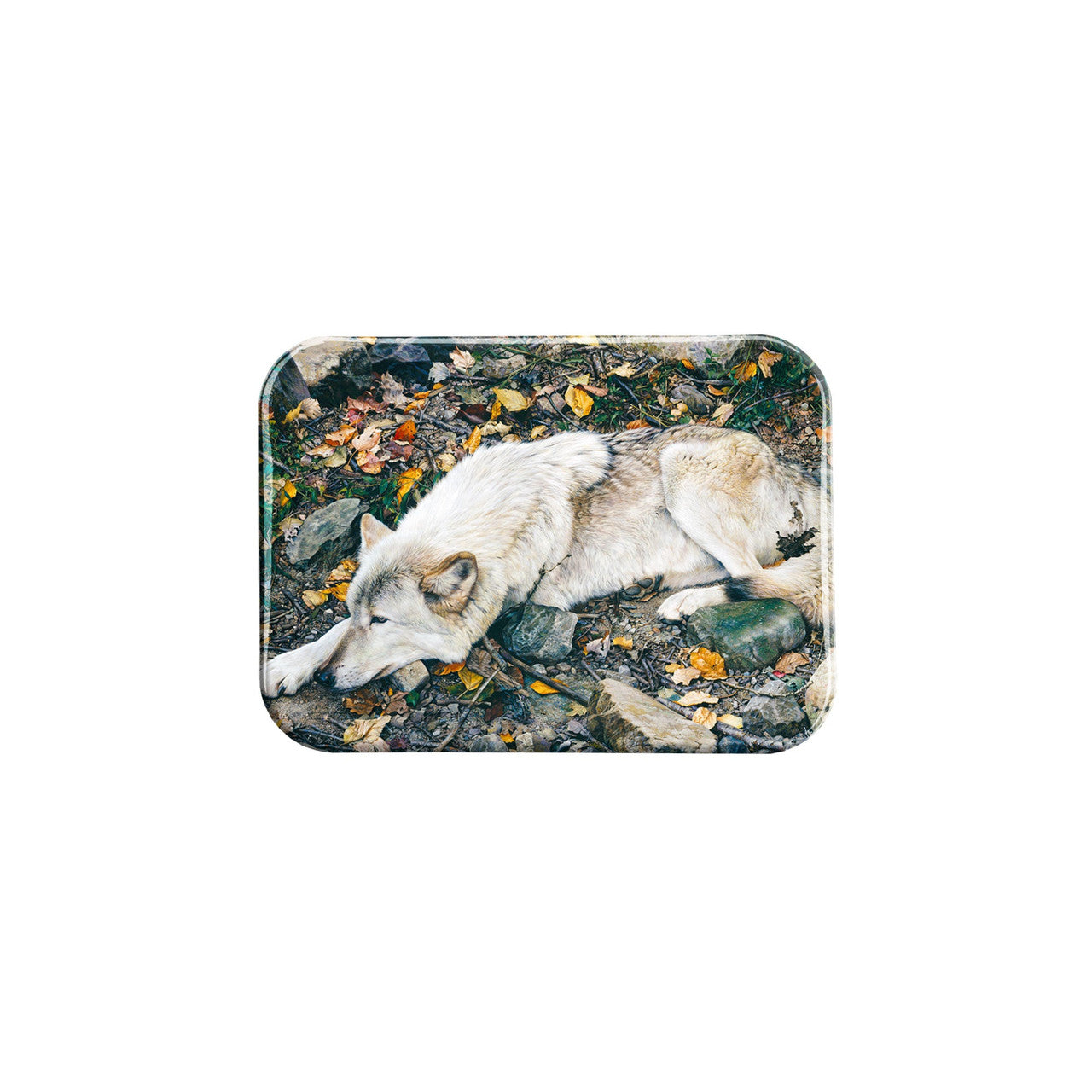 "The Fall Guy" - 2.5" X 3.5" Rectangle Fridge Magnets