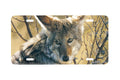 "Home Field Advantage" - Decorative License Plate