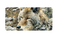 "Natural Survivor" - Decorative License Plate
