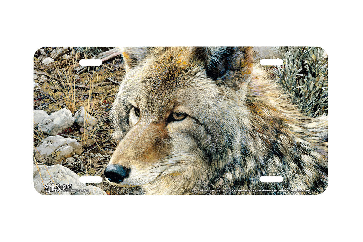 "Natural Survivor" - Decorative License Plate