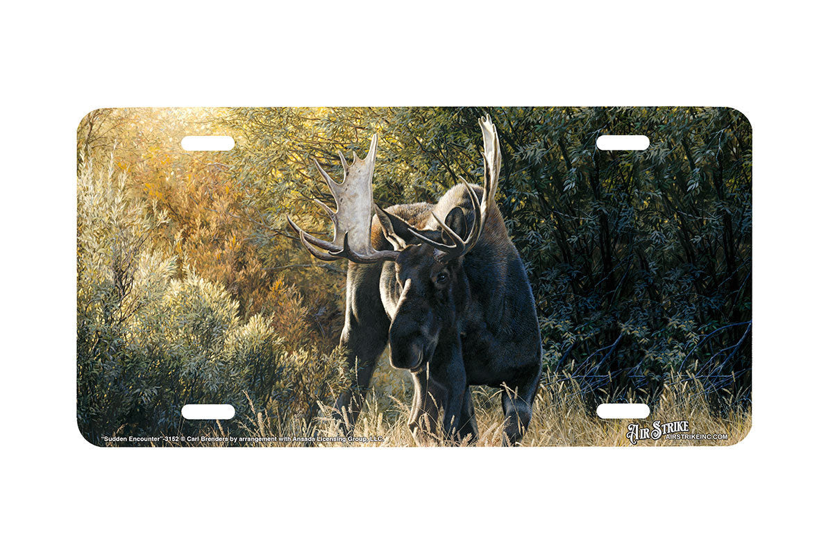 "Sudden Encounter" - Decorative License Plate