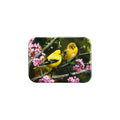"Gleam Of Gold" - 2.5" X 3.5" Rectangle Fridge Magnets