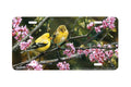 "Gleam Of Gold" - Decorative License Plate