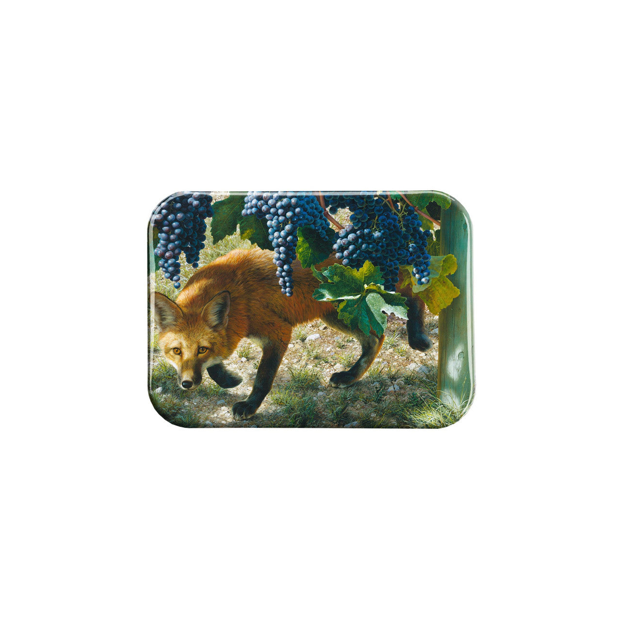 "Between The Vines" - 2.5" X 3.5" Rectangle Fridge Magnets