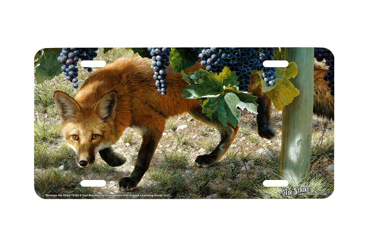 "Between The Vines" - Decorative License Plate