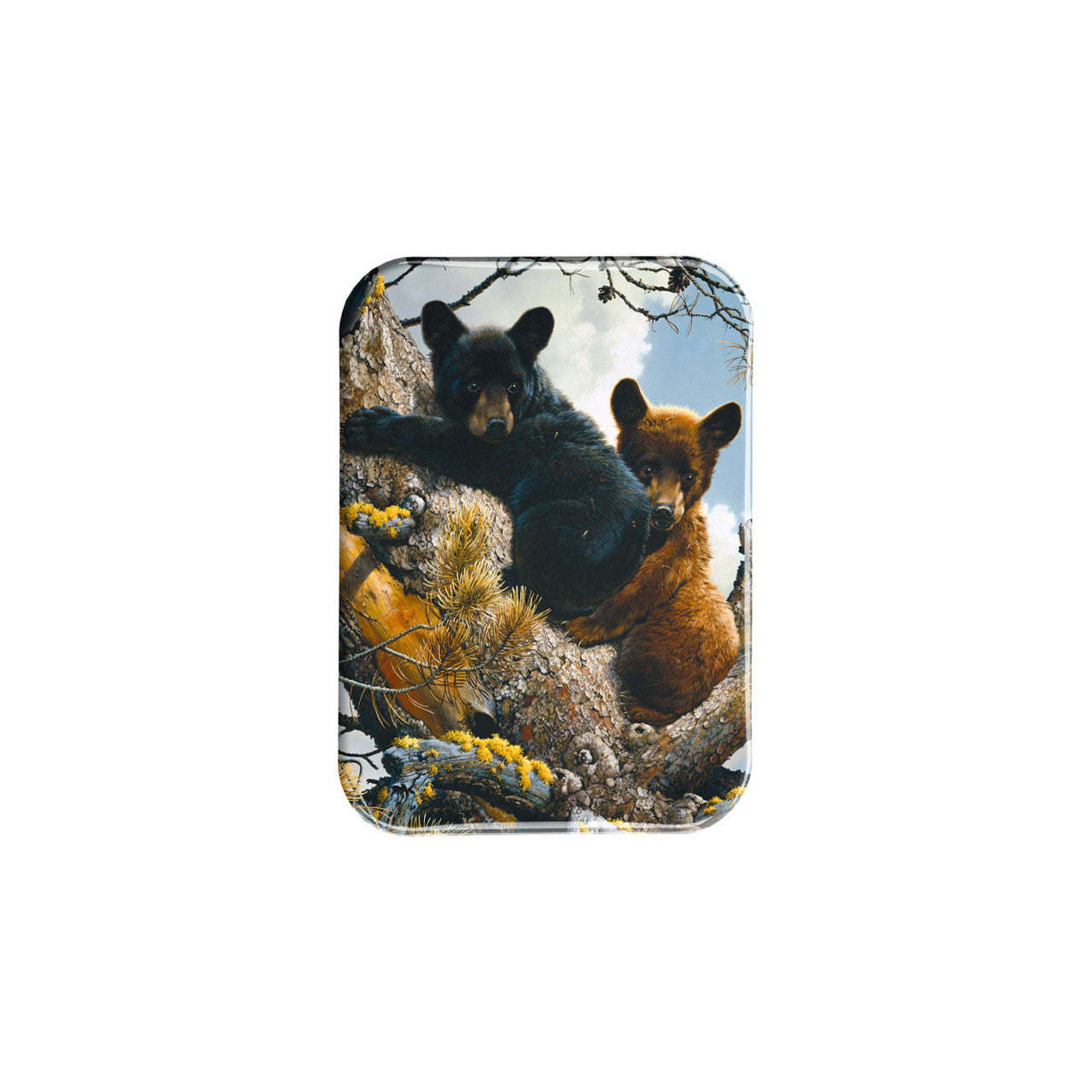"High Adventure" - 2.5" X 3.5" Rectangle Fridge Magnets