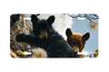 "High Adventure" - Decorative License Plate