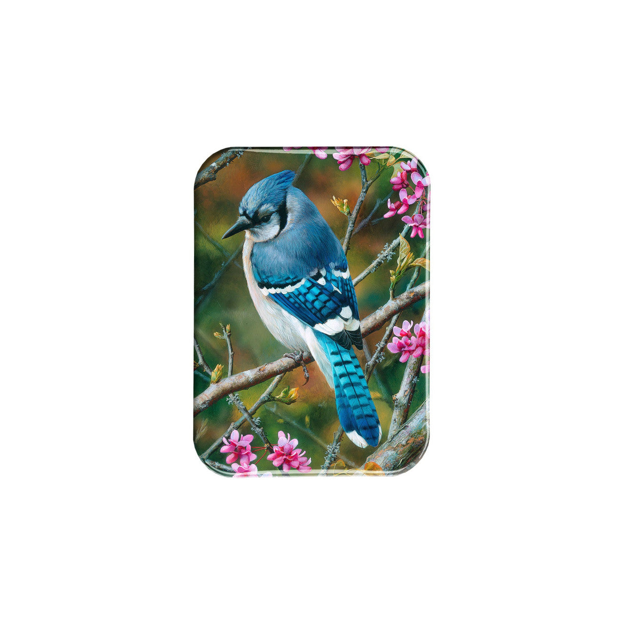 "Flash Of Sapphire" - 2.5" X 3.5" Rectangle Fridge Magnets