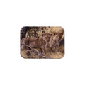 "Young Explorers" - 2.5" X 3.5" Rectangle Fridge Magnets