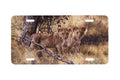 "Young Explorers" - Decorative License Plate