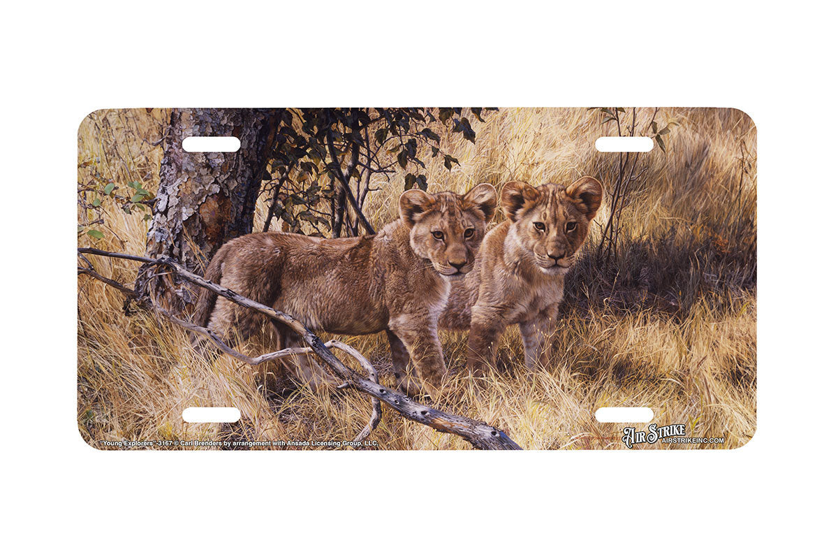 "Young Explorers" - Decorative License Plate