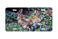 "Violet Trails And Cotton Tails" - Decorative License Plate