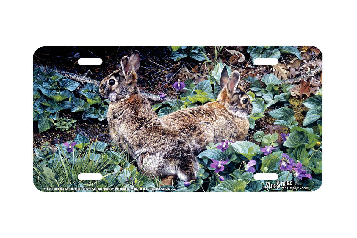 "Violet Trails And Cotton Tails" - Decorative License Plate