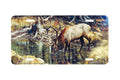 "Quiet Pool" - Decorative License Plate
