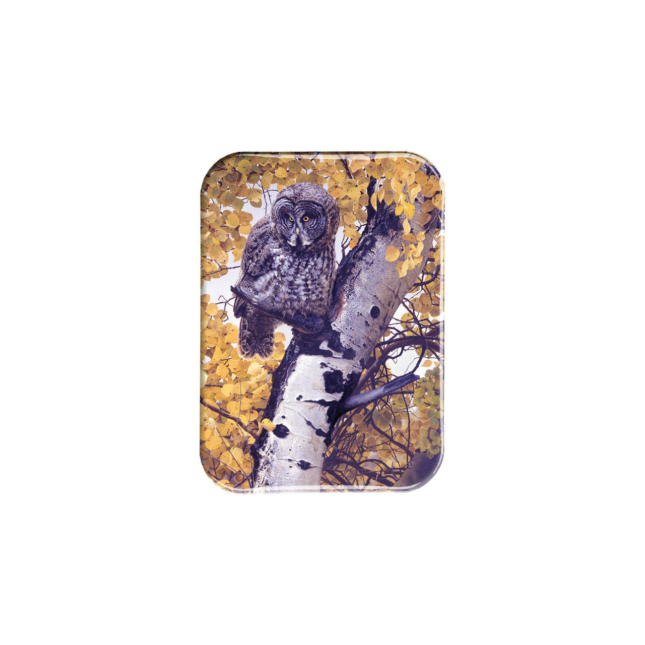 "Silence Is Golden" - 2.5" X 3.5" Rectangle Fridge Magnets