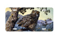 "Silent Hunter" - Decorative License Plate