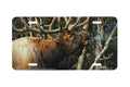 "Mating Call" - Decorative License Plate