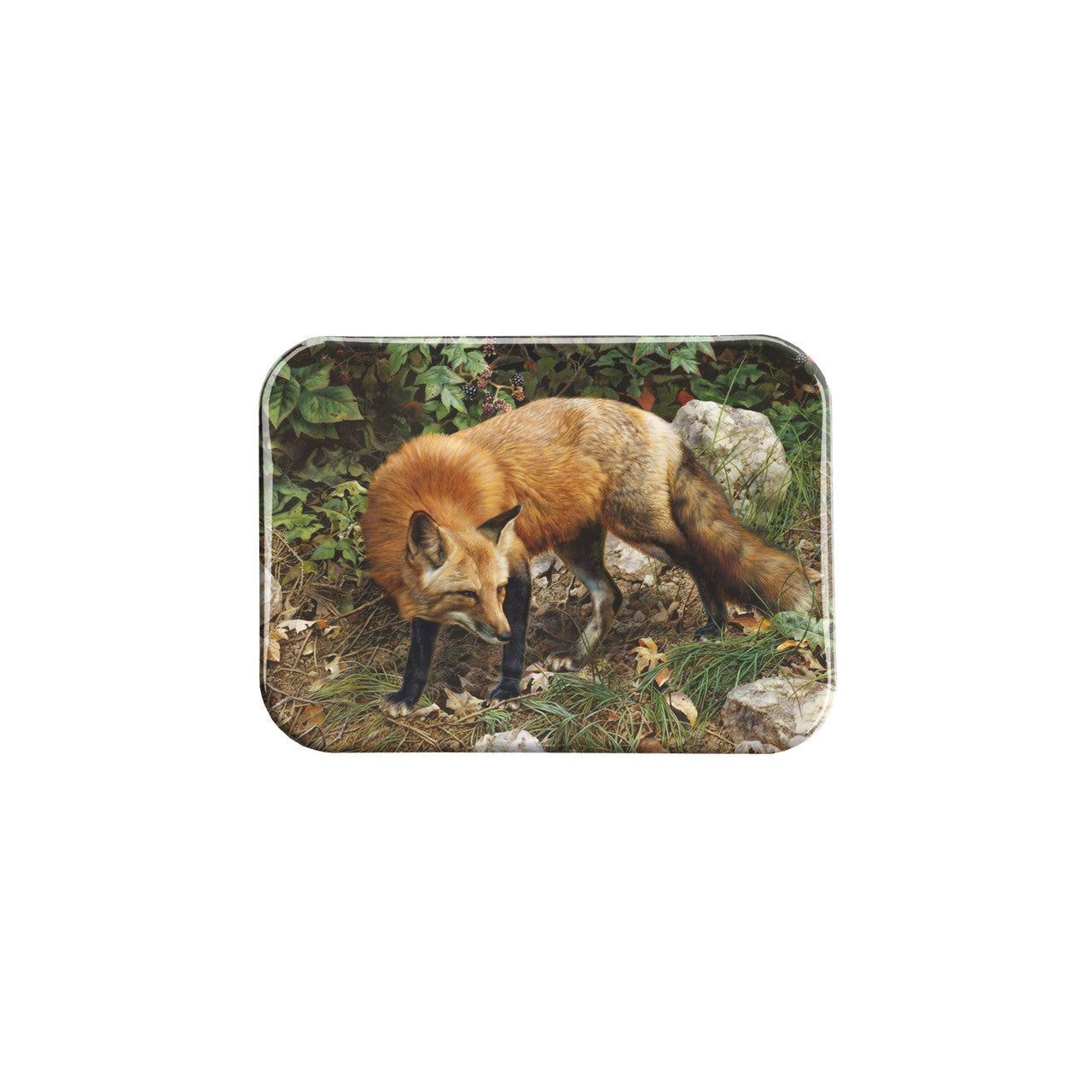 "A Lunch Date" - 2.5" X 3.5" Rectangle Fridge Magnets
