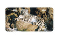 "Ghost Cat" - Decorative License Plate